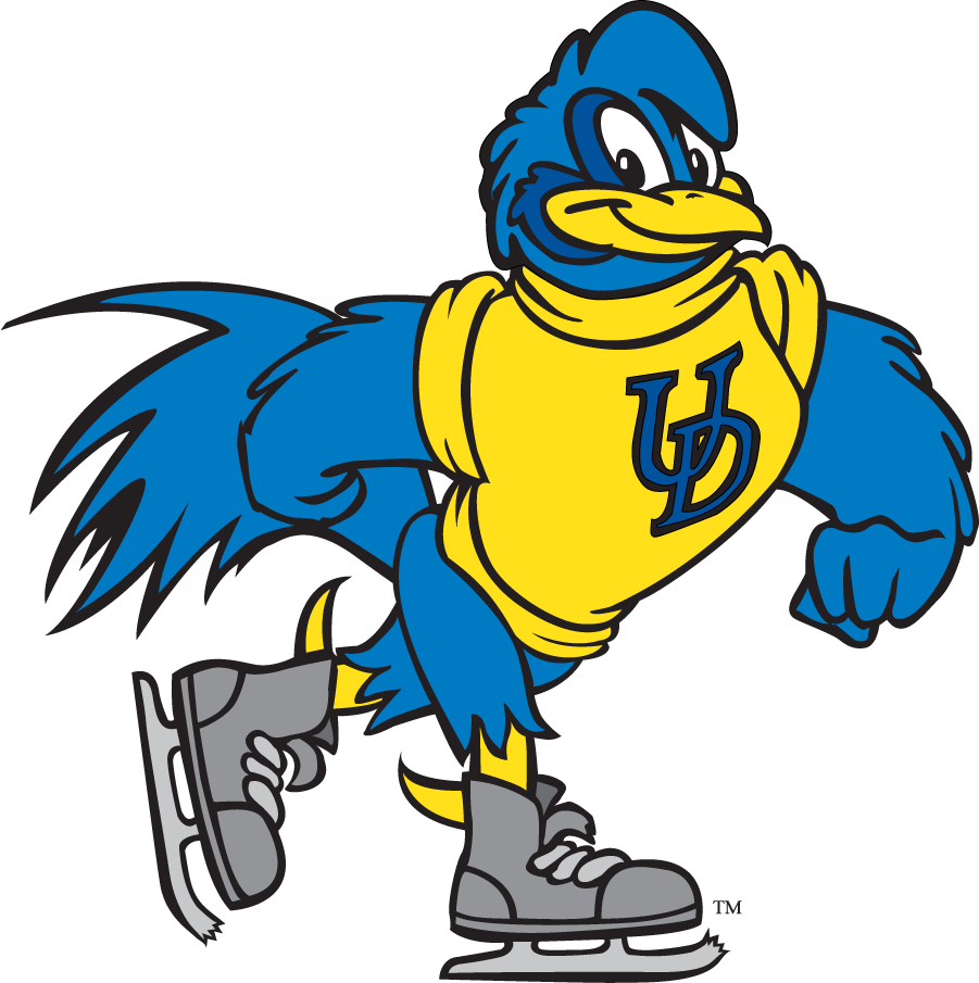 Delaware Blue Hens 1999-2009 Mascot Logo v14 DIY iron on transfer (heat transfer)